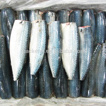 Frozen Gutted Tail Pacific Mackerel Hgt untuk tin dalam tin